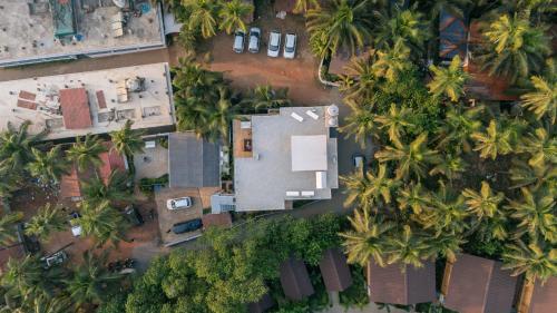 an overhead view of palm trees and a house at ELIVAAS House of Neptune - 3 BHK Cottage with Terrace & Gazebo on the Beach in Morjim