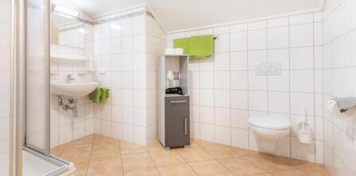 łazienka z toaletą i umywalką w obiekcie Obersteffengut w mieście Wagrain