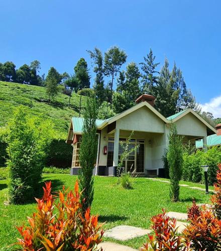 a house with a green hill in the background at Paradise Farm Cottages Mbui Nyeri in Ihua
