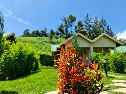 a house with a bush in front of a yard at Paradise Farm Cottages Mbui Nyeri in Ihua