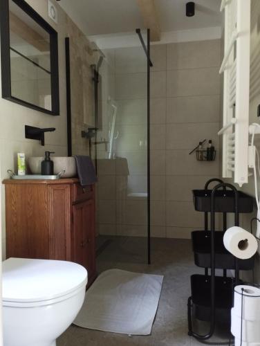 a bathroom with a toilet and a shower at Wilkovo Roztocze in Hutków