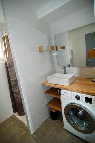 une salle de bain avec une machine à laver et un lavabo dans l'établissement Bel appartement de quartier, terrasse et jardin, à Montélimar