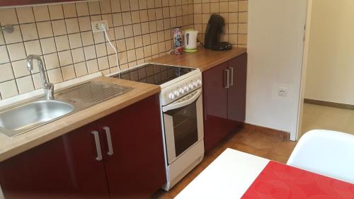 Kuchyň nebo kuchyňský kout v ubytování Love 2 Solkan