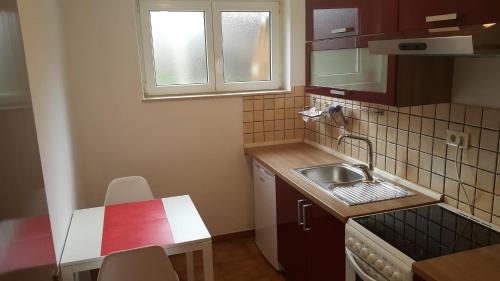 a small kitchen with a sink and a red counter top at Love 2 Solkan in Nova Gorica