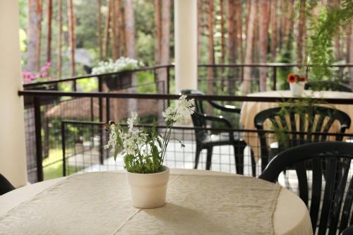 a table with a potted plant on a balcony at Vila Dunavski Raj in Golubac