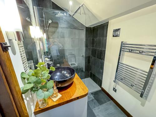 un bagno con un lavandino e una ciotola su un bancone di Historic Luxury 18th C Listed Barn Apartment a Maresfield