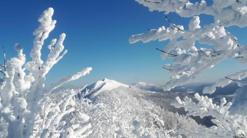 a mountain covered in snow with snow covered trees at Willa Helena in Cisna