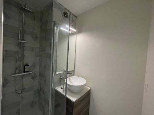 une salle de bain avec un lavabo et une douche en verre dans l'établissement Appartement Studio cabine 4 couchages ARGELES SUR MER AR020-037, à Argelès-sur-Mer