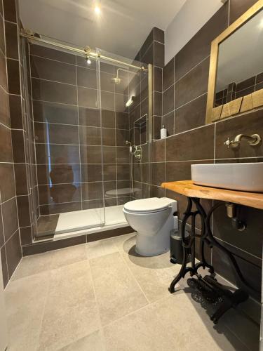 a bathroom with a toilet and a shower and a sink at Château Monts Blancs in Lumbin