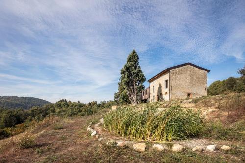 an old building on a hill with a tree at Ca' Inua - arte, bosco, ospitalità in Marzabotto