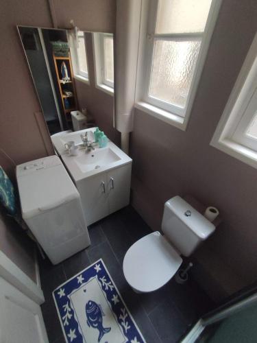 une salle de bain avec toilettes, lavabo et miroir dans l'établissement Rouen gauche collé au jardin des plantes, à Rouen