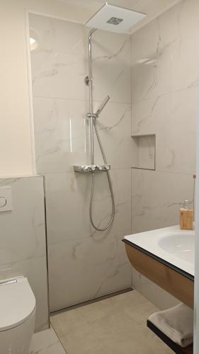 a bathroom with a shower and a toilet and a sink at Schlosshotel Wilhelmsthal in Schäferberg