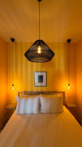 Timeless nest