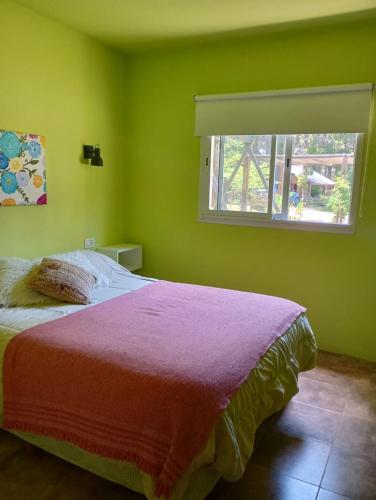ein grünes Schlafzimmer mit einem Bett und einem Fenster in der Unterkunft Quetrihue Mar de las Pampas in Mar de las Pampas