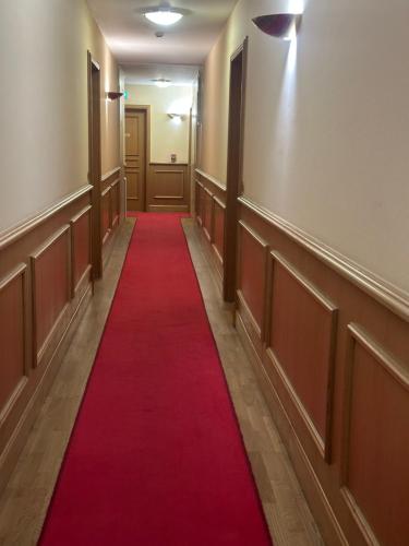 a corridor with a red carpet in a hallway at Elysée Darcy - Devosge hyper centre ,Liberté Gare - ville in Dijon