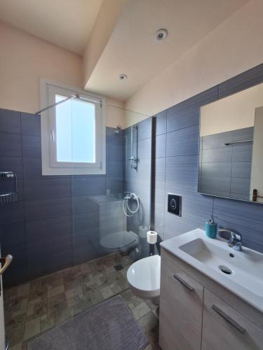 a bathroom with a sink and a toilet and a mirror at Blue Dolphin in Batsi