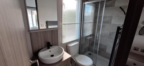 a bathroom with a toilet and a sink and a shower at Tranquil Lodge Retreat in Paignton in Paignton