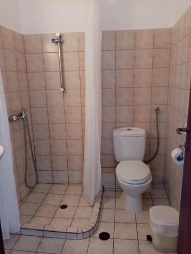 a bathroom with a toilet and a shower at Dawn's Rooms in Patitiri