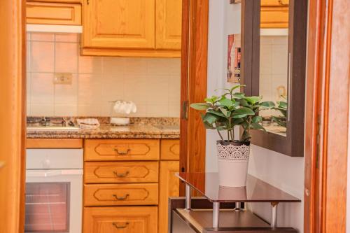 a kitchen with a table with a potted plant on it at Vivienda Vacacional Mar y Arena Puerto de Tazacorte in Tazacorte
