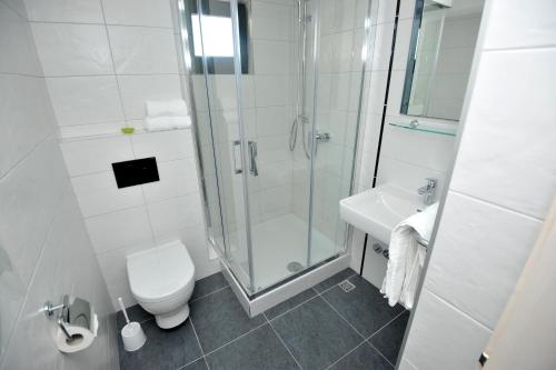 a bathroom with a shower and a toilet and a sink at Villa Tomislav 2 in Brela