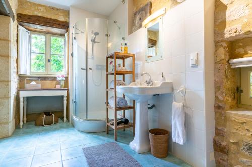 un bagno con lavandino e doccia di La Maison Louverie a Pontours