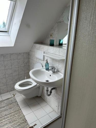 a bathroom with a sink and a toilet at Monteurzimmer Iris&Jasmin in Hohenfelde