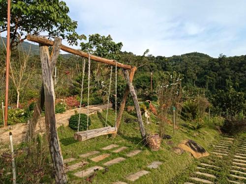 a swing in the middle of a garden at Chalet Bungalow Kala by Tâm Miên Man Homestay in Di Linh