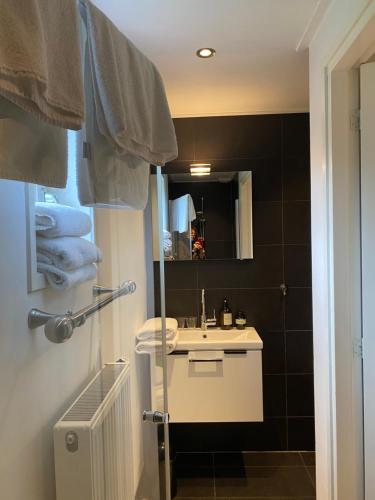 a bathroom with a sink and a mirror at B&B de Tol in Hulst