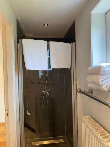 a bathroom with a shower with two towels at B&B de Tol in Hulst