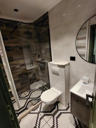 a bathroom with a toilet and a sink and a mirror at Gazdinstvo Tadić in Nikšić