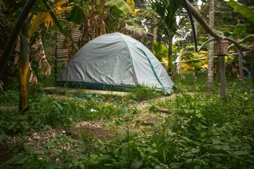 a tent sitting in the middle of a forest at The Soul Marayoor Mudhouse - Munnar in Marayoor