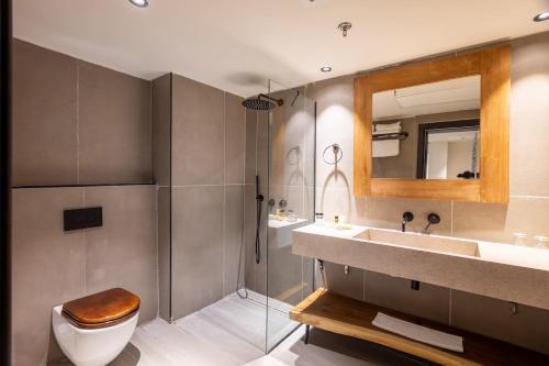 a bathroom with a toilet and a sink and a mirror at Yarden Estate Hotel in Yesod Hamaala