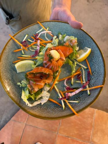 a plate of food with a salad on it at Hôtel Restaurant Les Chasseurs in Marine de Pietracorbara
