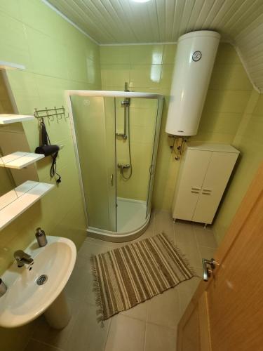 a bathroom with a shower and a sink at Best View Kolasin in Kolašin