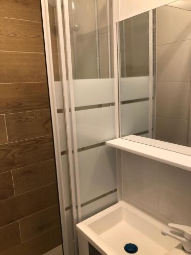 une salle de bain avec douche et lavabo dans l'établissement Studio with terrace, à Saint-Denis