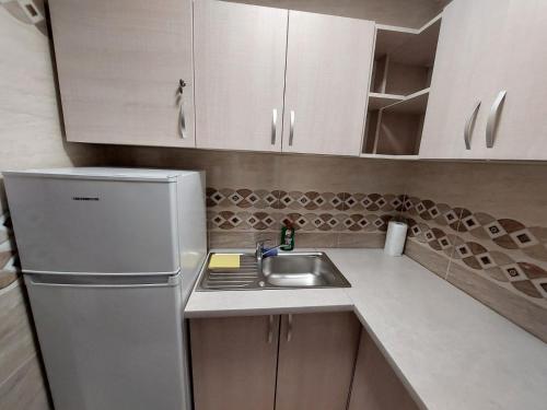 a small kitchen with a sink and a refrigerator at New Edenia Apartment in Craiova