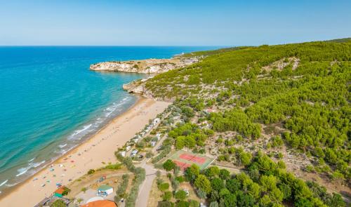 an aerial view of a beach with trees and the ocean at Centro Turistico San Nicola in Peschici