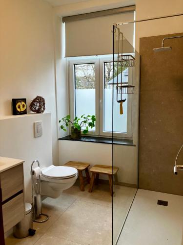 a bathroom with a toilet and a glass shower at Charmante chapelle aménagée à Eprave in Rochefort