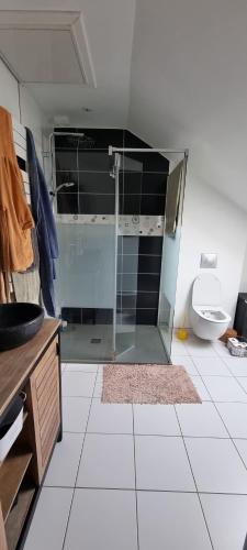 une salle de bain avec une douche en verre et des toilettes dans l'établissement Maison Saint Pavin, au Mans