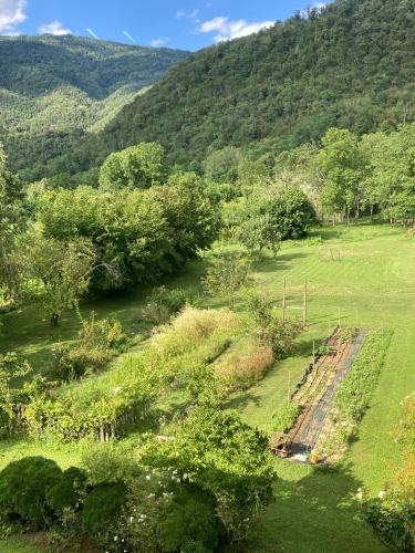 a field with trees and a mountain in the background at Casa del Grivò - Alloggio Luna in Canal di Grivo