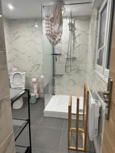 une salle de bain avec douche et toilettes dans l'établissement Apartment Lille-Fives, à Lille