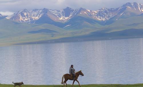 Fotografie z fotogalerie ubytování Horse riding&Kyzart Homestay v destinaci Dzhangyaryk