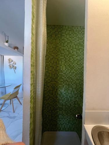 La salle de bains est pourvue d'une douche et de carrelage vert. dans l'établissement Gounod - Studio cosy dans le centre de Nice, à Nice