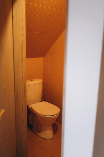 a bathroom with a toilet in a small room at Kalnciema kvartāla Kuldīgas rezidence in Kuldīga