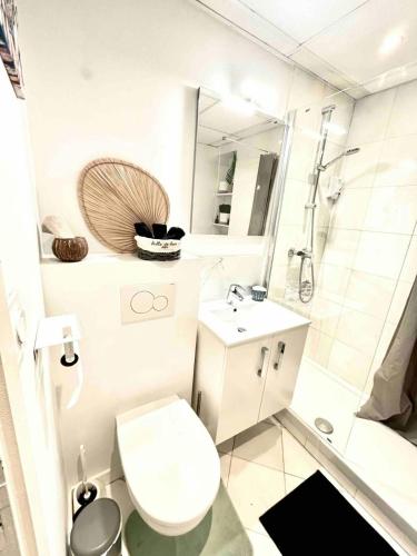 Adorable studio cannes center