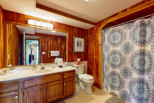 a bathroom with a toilet and a sink and a mirror at Cardinal 104 in Blowing Rock
