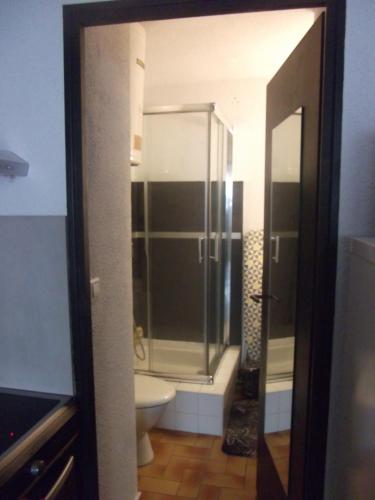 une salle de bain avec douche et toilettes dans l'établissement Studio sur le port, climatisation, wifi, piscine, lave-linge, à Gruissan