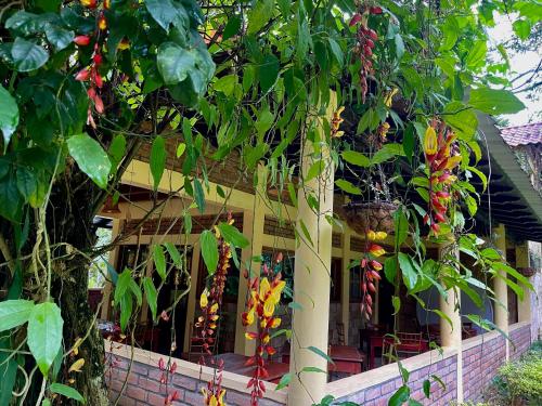 Jardín al aire libre en finca del Río Copan