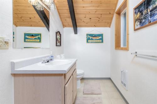 a bathroom with a sink and a toilet at Twin Maples | WiFi, River Access, BBQ in Packwood