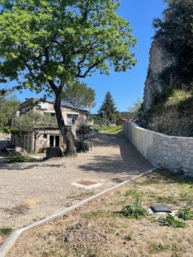 an old house and a tree next to a wall at Le Castellas - Gîte en pleine Nature in Montmirat